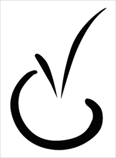 Logo Institut für Yoga & Gesundheit Köln